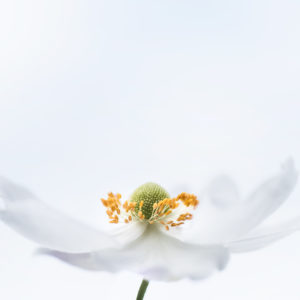 Whispers of Grace