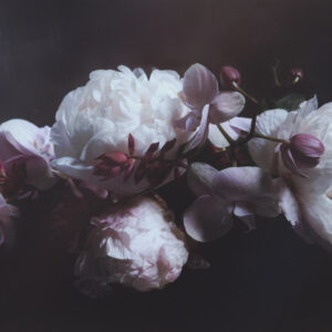 Peonie Magic