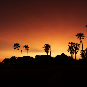 African Lodge sunset, palm trees silhouetted