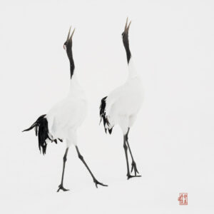 Red crowned crane fine art photography in snowy Hokkaido Japan by Shirene Briell